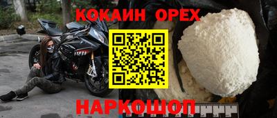 стаф Гай