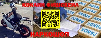 a pvp Гатчина