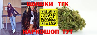 стаф Гай