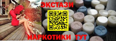 стаф Гай