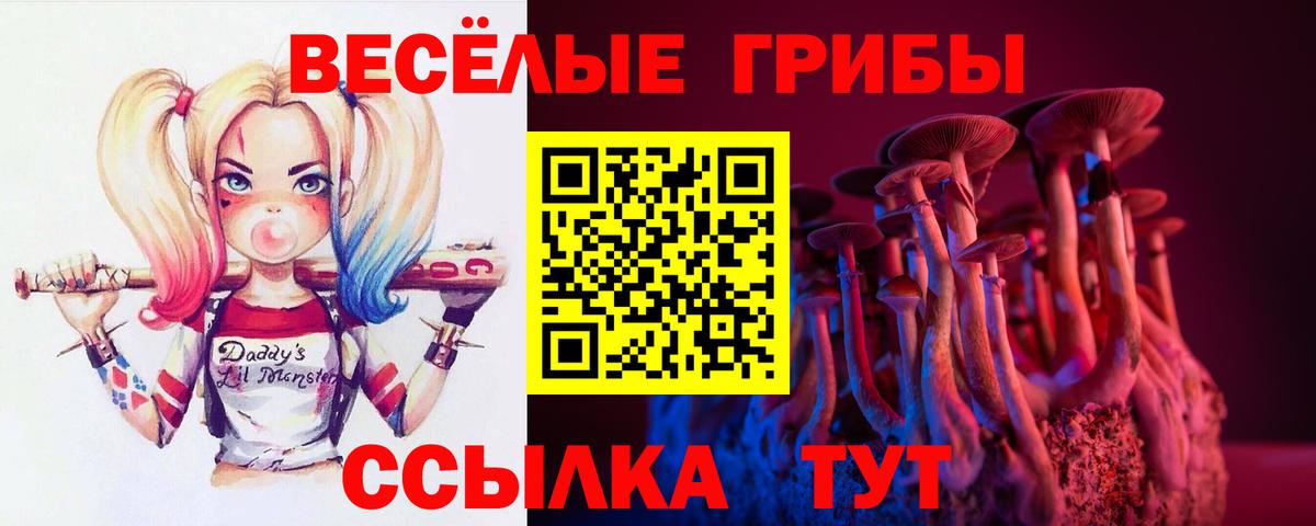Псилоцибиновые грибы Psilocybine cubensis  Вход с VPN  Белгород 